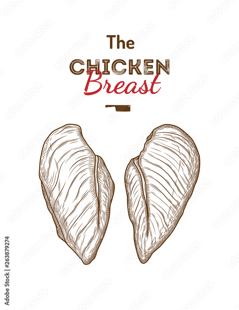 Chicken breast drawing vector illustration. Stock Vector Adobe Stock
