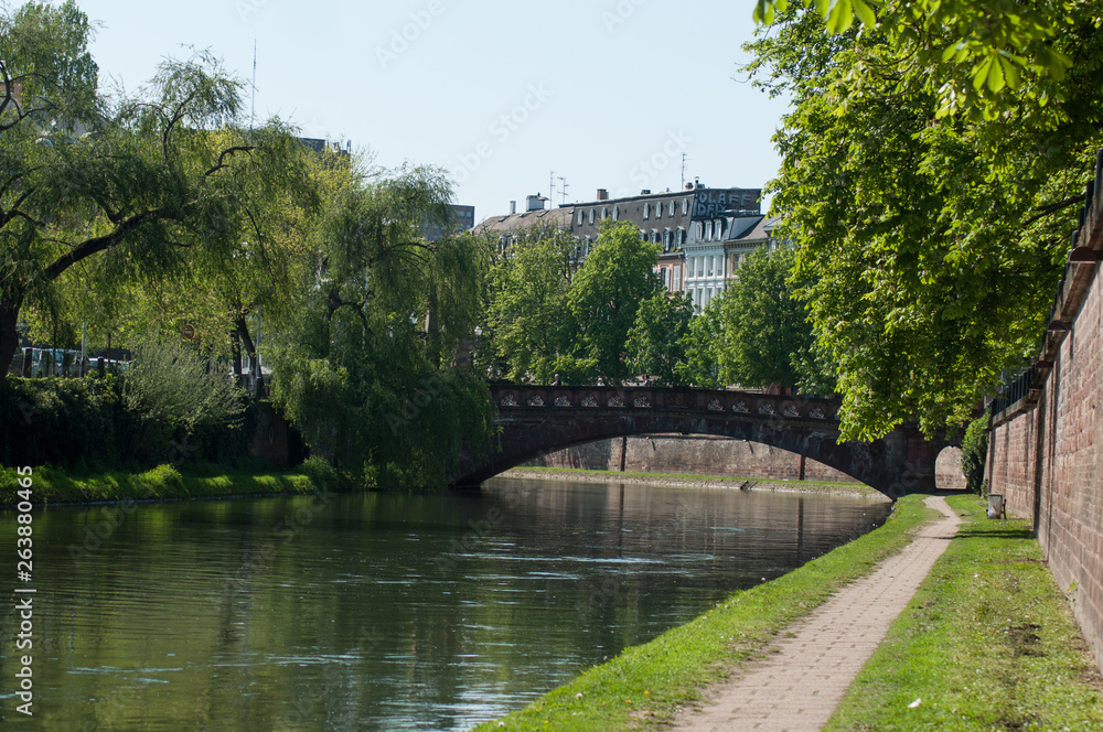 bridge and trees on channel at little France quarter in Strasbourg