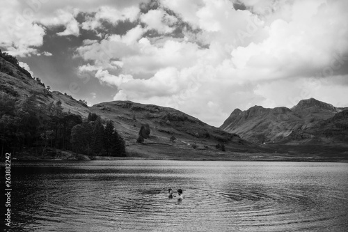 Couple swimming on dramatic black and white backdrop