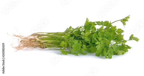 Fresh coriander (cilantro) with roots on white background