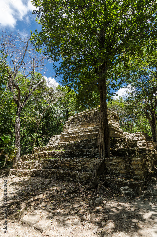 Muyil archaeological site in Quintana Roo, Mexico Muyil archaeological site in Quintana Roo, Mexico