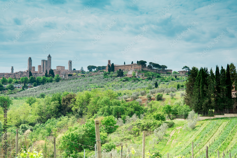 green landscape in Tuscany with grape yard and skyline with the towers of San Gimignano, Italy