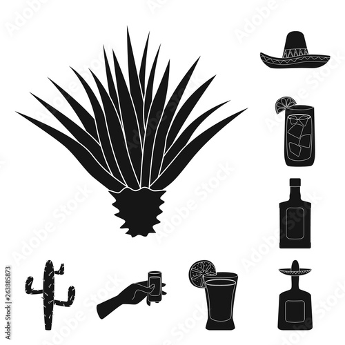 Vector design of carnival and national symbol. Set of carnival and tequila vector icon for stock.