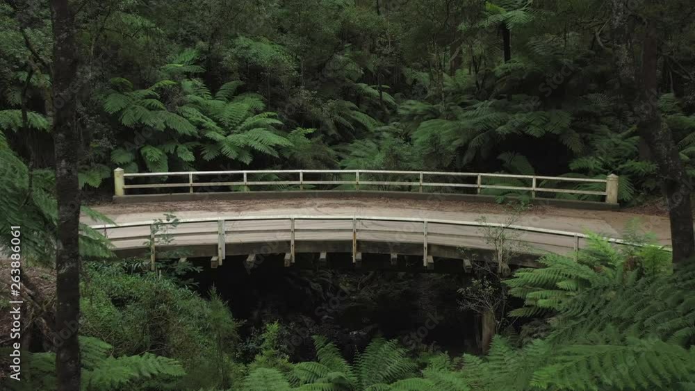 Amazing curved wooden vehicle bridge above a small valley creek, 1hr drive from Melbourne, Victorias' high country, tall trees & leafy green ferns, natural forest, drone, zoom in, Australia, 4k Amazing curved wooden vehicle bridge above a small valley creek, 1hr drive from Melbourne, Victorias' high country, tall trees & leafy green ferns, natural forest, drone, zoom in, Australia, 4k