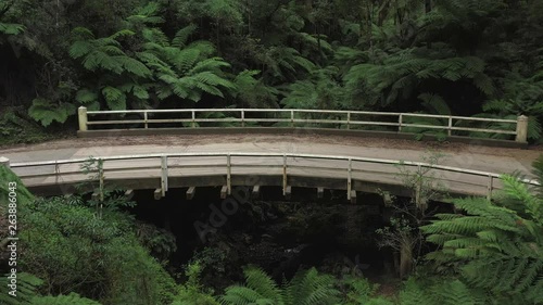 Amazing curved wooden vehicle bridge above a small valley creek, 1hr drive from Melbourne, Victorias' high country, tall trees & leafy green ferns, natural forest, drone, pan, Australia, 4k photo