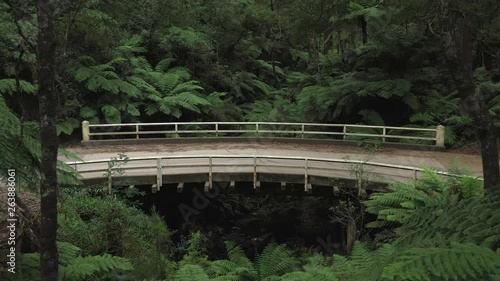 Amazing curved wooden vehicle bridge above a small valley creek, 1hr drive from Melbourne, Victorias' high country, tall trees & leafy green ferns, natural forest, drone, zoom in, Australia, 4k photo