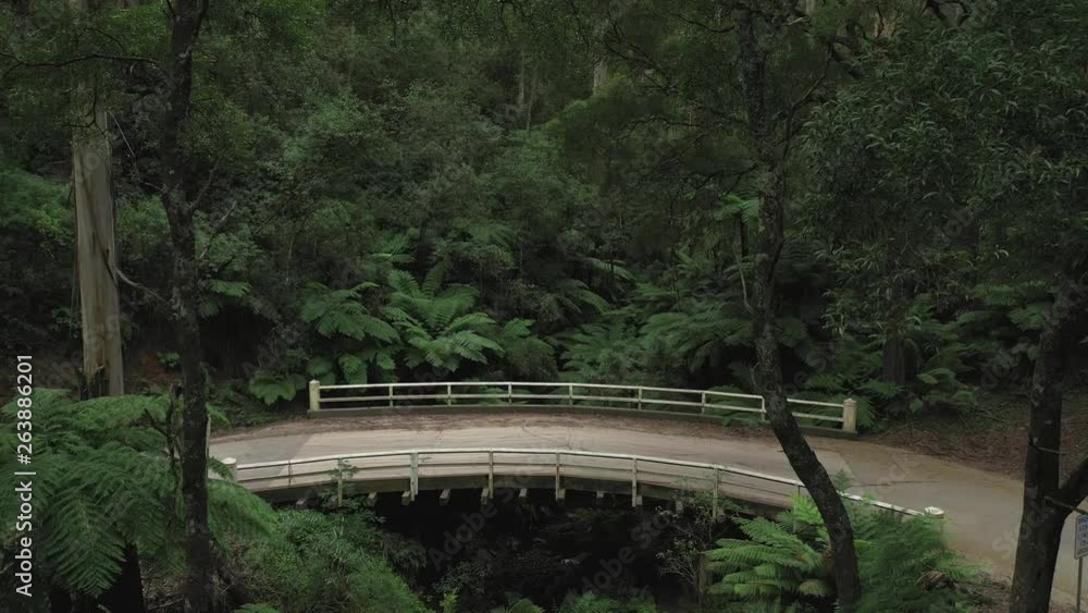 Amazing curved wooden vehicle bridge above a small valley creek, 1hr drive from Melbourne, Victorias' high country, tall trees & leafy green ferns, natural forest, drone, static, Australia, 4k Amazing curved wooden vehicle bridge above a small valley creek, 1hr drive from Melbourne, Victorias' high country, tall trees & leafy green ferns, natural forest, drone, static, Australia, 4k