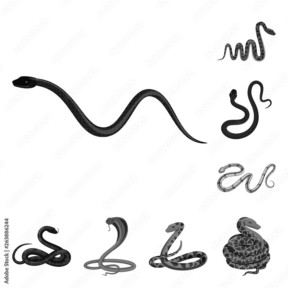 Fototapeta premium Vector design of harm and bite sign. Collection of harm and reptile stock vector illustration.