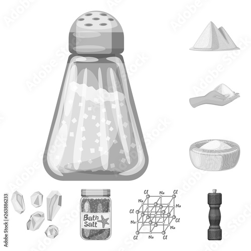Vector design of salt  and food icon. Collection of salt  and mineral  stock symbol for web.