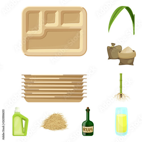Isolated object of sugarcane and cane icon. Set of sugarcane and field stock symbol for web.