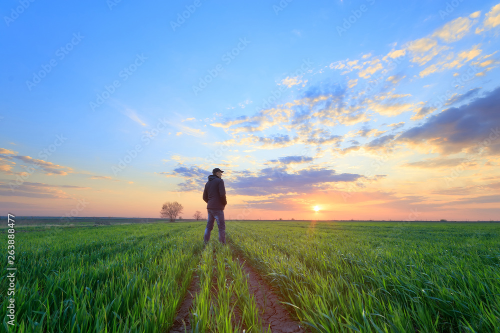 people wheat field sunset / landscape spring field agriculture of Ukraine