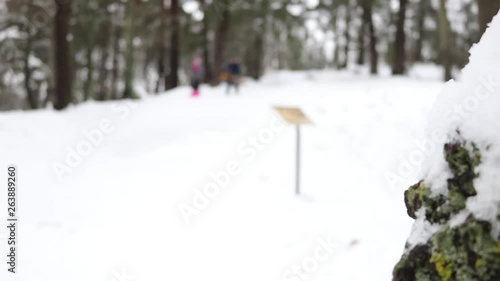 Wallpaper Mural a nice snowing day out with family Torontodigital.ca