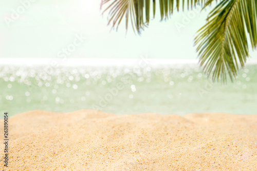 Fototapeta Naklejka Na Ścianę i Meble -  Coconut leaf and beautiful sea background in summer.
