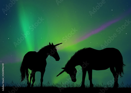 two unicorns in the northern lights © adrenalinapura