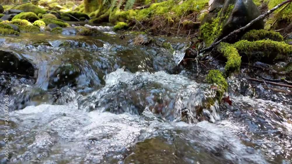 Water flowing over rocks covered by moss in the forest of the Olympic National Forest Water flowing over rocks covered by moss in the forest of the Olympic National Forest