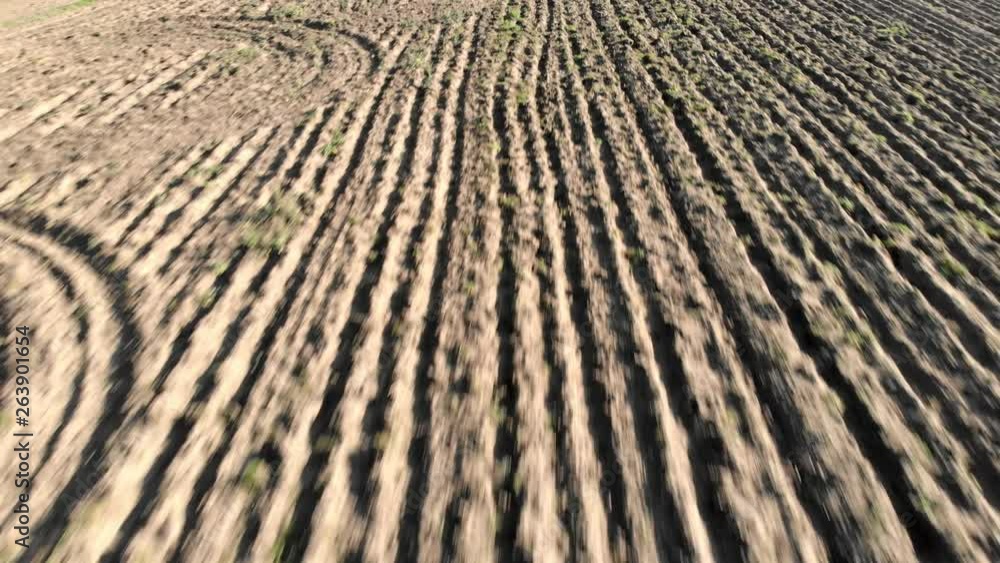 Aerial backwards flying view in farmland plowed field and furrows that draw the dry earth Aerial backwards flying view in farmland plowed field and furrows that draw the dry earth