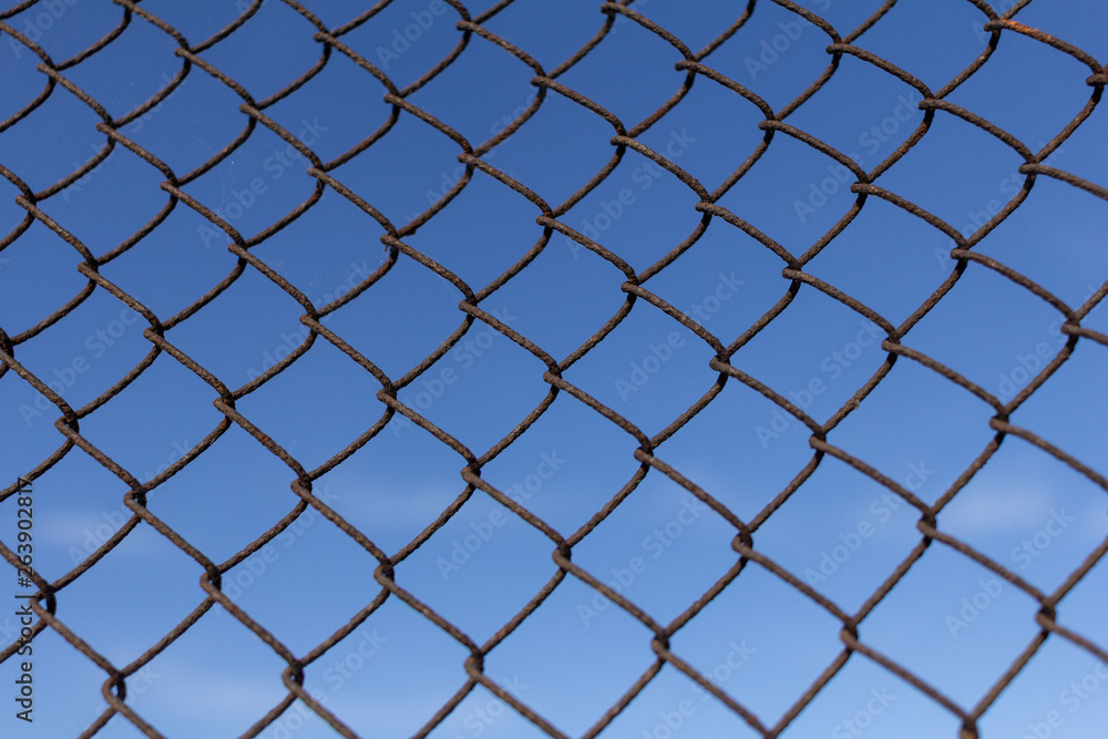 Protective mesh on a blue background Protective mesh on a blue background