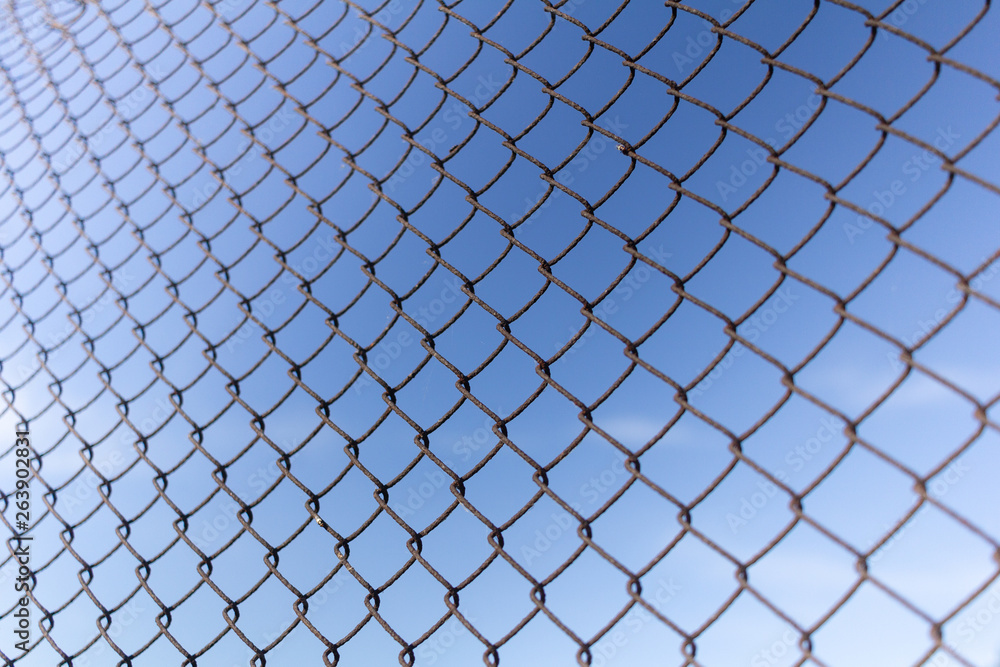 Fototapeta premium Protective mesh on a blue background