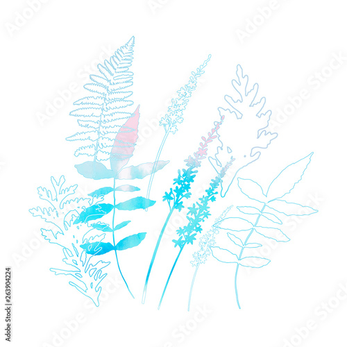 different hand drawn leaves, wild flowers and plants with watercolor texture ...