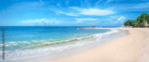 Idyllic tropical beach, palm, white sand and crystal clear water © guruXOX