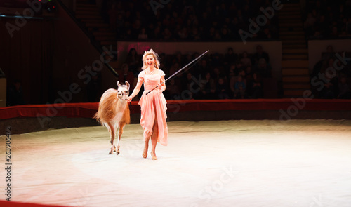 performance of a dog trainer in a circus photo