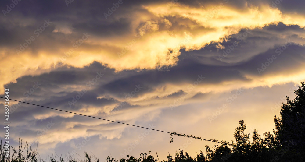 Fototapeta premium Cloudy sky at sunset: trees silhouettes