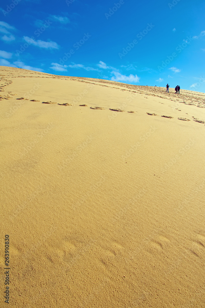 Le Dune du Pilat in France, the highest sand dunes in Europe.