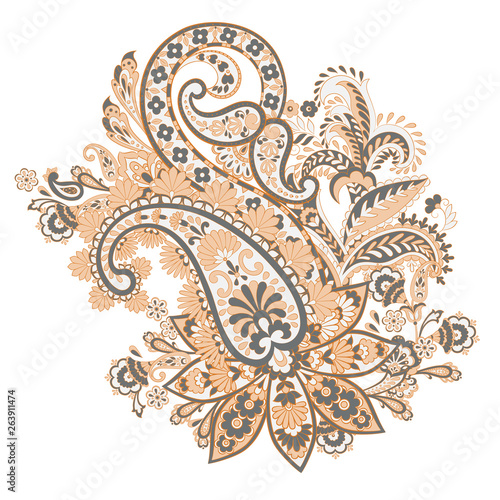 isolated Paisley pattern in indian style. Floral vector illustration