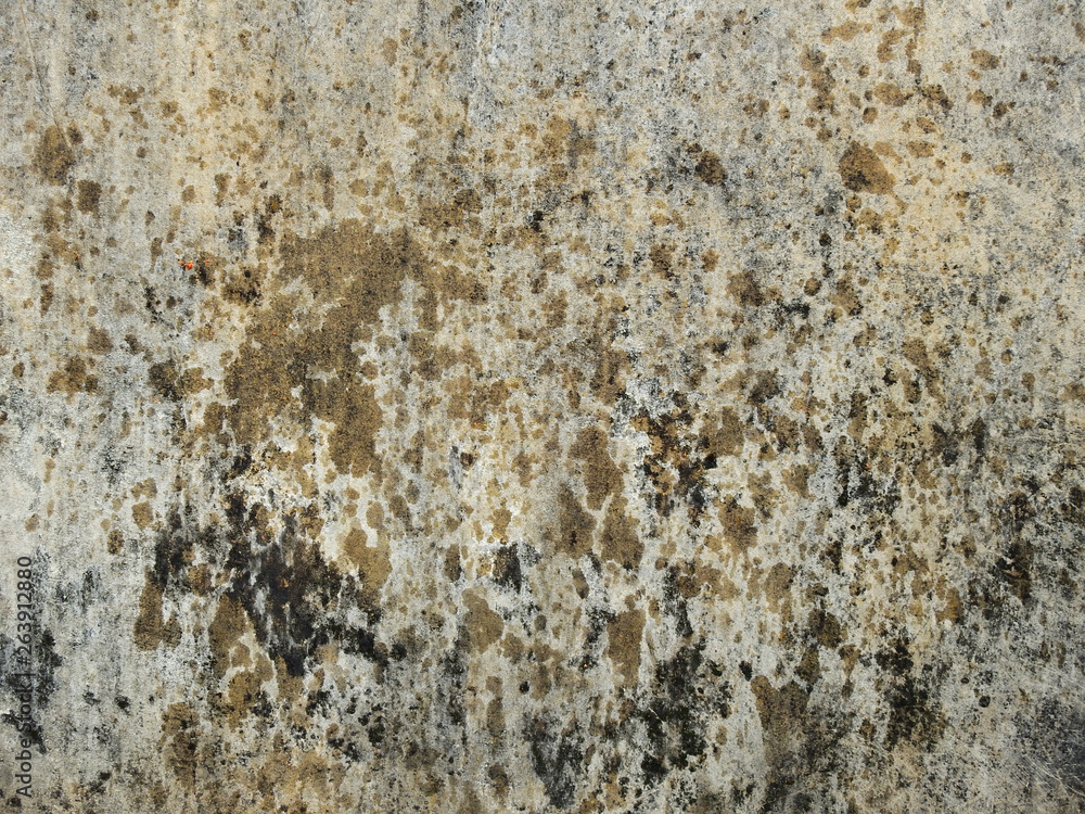 wet grunge wall texture wet grunge wall texture