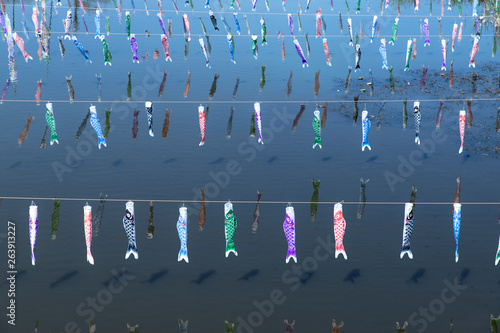 こいのぼり２　koinobori