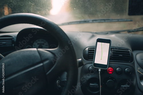 Navigator in the car's smartphone while traveling in the forest.