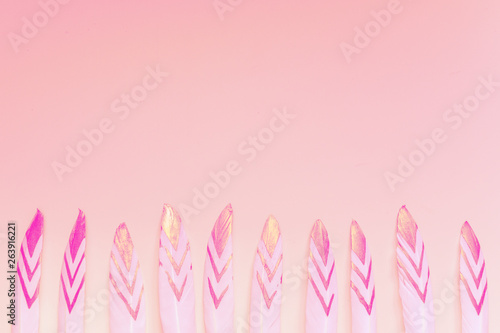 decorative feathers on pink background with copy space © Mariia Nazarova