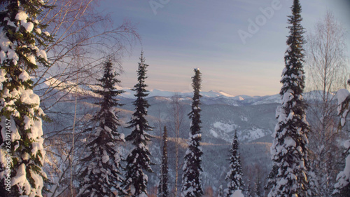 Panoramic view of the winter forest in the Siberian mountains