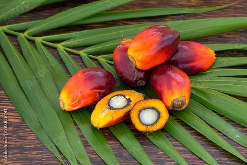 Close up of Palm Oil fruits with cooking oil and palm leaf on a wooden background.