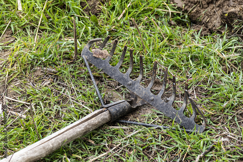 Fototapeta premium metal garden rake