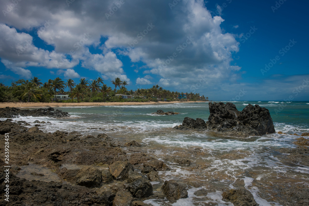 Vieques Landscape