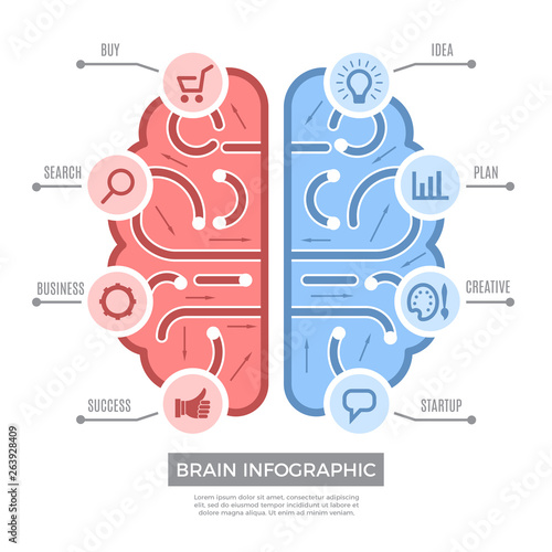 Brain infographic. Conceptual thinking learning symbols vector creative business pictures with place for text. Infographic brain, education knowledge and function brain illustration