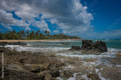 Vieques Landscape