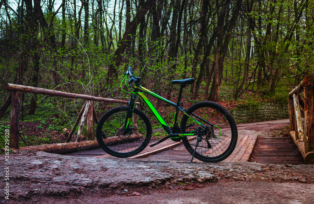 a green bicycle on the bridge in a forest at mountains