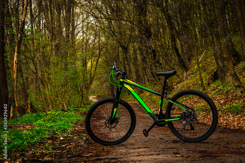 a green bicycle on the pathway in a forest at mountains