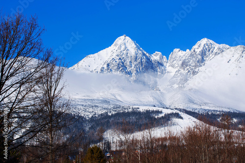 Beautiful snowy mountain landscape © deviddo