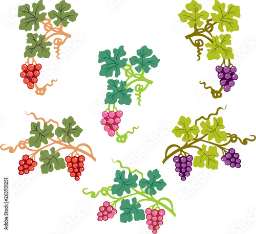 A set of decorative vine branches
