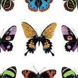 Seamless background of various drawn butterflies