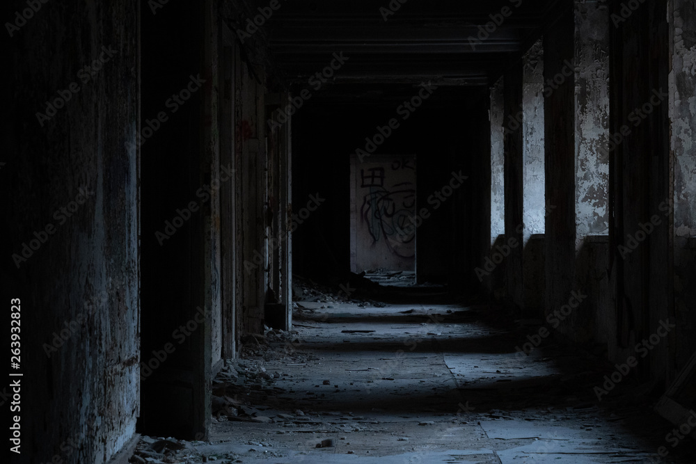 Fototapeta premium Ruined hospital corridor