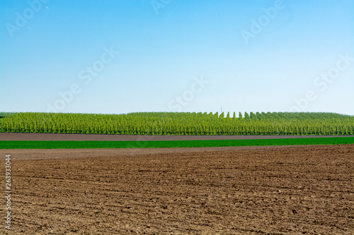 Spring landscape with farmers plowed fields, green grass, fruit trees orchards and blue sky photo