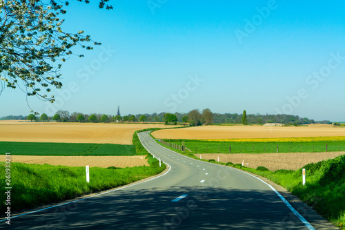 Asphalt road and spring landscape with farmers plowed fields and green grass
