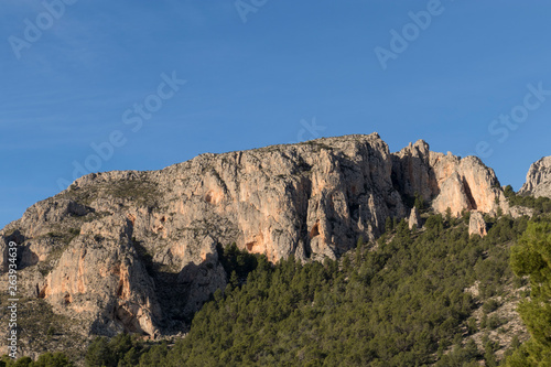 Detalle de montaña rocosa sobre cielo azul y árboles