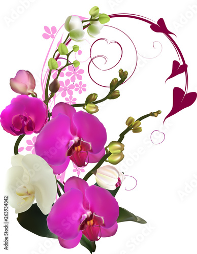 white and purple orchid curled design
