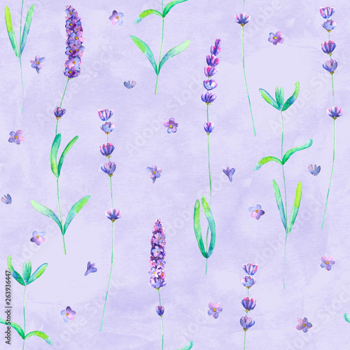 Lavender flowers watercolor...