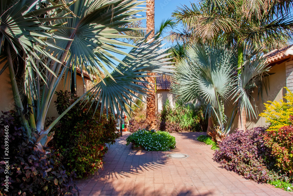 Fototapeta premium View of palms and villas at tropical hotel. Exotic holiday concept
